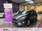 Ford Fiesta 1.0 EcoBoost Titanium + Winter Pack GPS Camera, 0 kg, 0 kg, Bedrijf, 5 deurs
