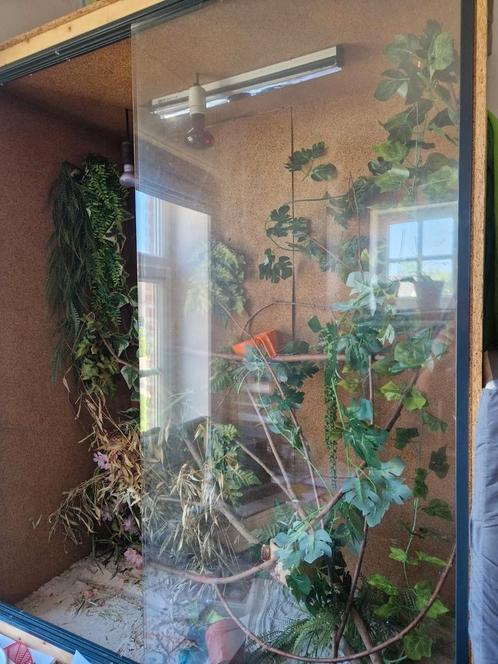 Terrarium, Dieren en Toebehoren, Reptielen en Amfibieën | Toebehoren, Zo goed als nieuw, Ophalen