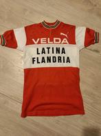 Koerstrui Flandria Velda Latina, Sport en Fitness, Ophalen of Verzenden, Zo goed als nieuw