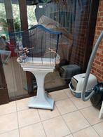 Te koop vogel kooi met stokken Em alles er bij met staander, Dieren en Toebehoren, Vogels | Hokken en Kooien, Ophalen, Zo goed als nieuw