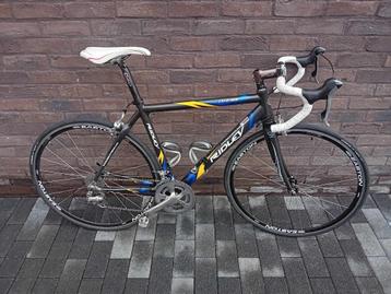 Ridley Excalibur maat 52 carbon