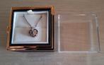 Verrassing geschenkdoos/sieradendoos met ketting, Handtassen en Accessoires, Kettingen, Overige materialen, Overige kleuren, Nieuw