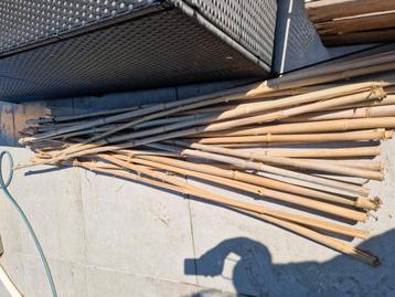 Bamboe stokken gemiddelde lengte 2mx3cm beschikbaar voor biedingen
