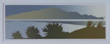 MALCOLM WARR / DUNE GRASS / KLEURLITHO / 34x57cm / KADER SIG beschikbaar voor biedingen