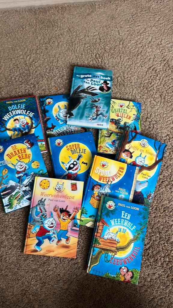 Paul van Loon - SuperDolfje, Livres, Livres pour enfants | Jeunesse | Moins de 10 ans, Enlèvement