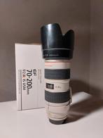 Canon EF 70-200mm f/2.8L IS USM