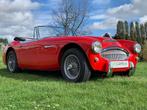 Austin Healey 3000 MK 2A BJ7 2+2 - full resto - History - Mi, Auto's, Overige merken, Achterwielaandrijving, https://public.car-pass.be/vhr/f3df8111-a0e3-4f14-bba8-b75f8447f982