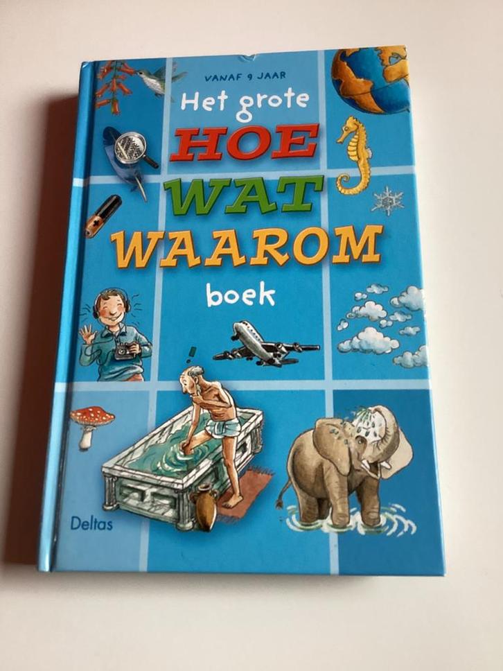 Het grote hoe, wat, waarom boek, Boeken, Kinderboeken | Jeugd | onder 10 jaar, Zo goed als nieuw, Ophalen of Verzenden