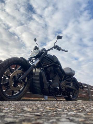 Harley v rod  beschikbaar voor biedingen