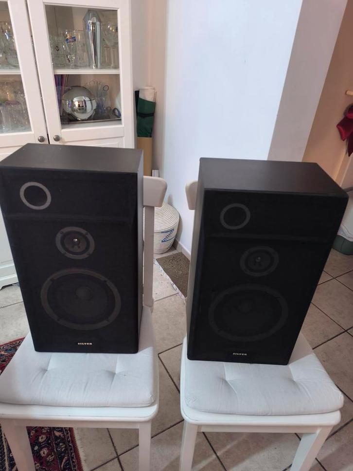 Paire d'enceintes vintage 50 watts, Audio, Tv en Foto, Luidsprekerboxen