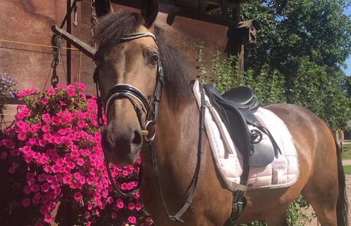 Eskadron dekje babyroze, Dieren en Toebehoren, Paarden en Pony's | Dekens en Dekjes, Zo goed als nieuw, Dekje, Ophalen of Verzenden