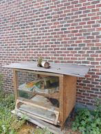 Stevig hok cavia, konijn, kip, Dieren en Toebehoren, Ophalen, Zo goed als nieuw