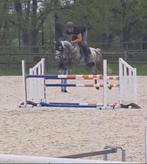 8jarige springmerrie met karakter!, Dieren en Toebehoren, Paarden, Merrie, Springpaard, Gechipt, 7 tot 10 jaar