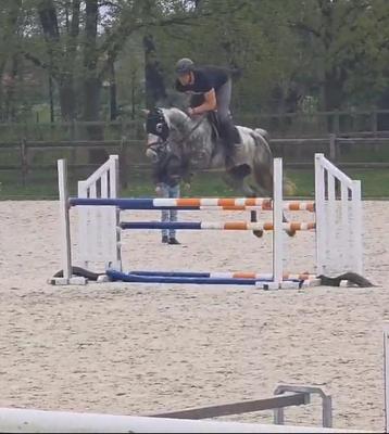8jarige springmerrie met karakter! beschikbaar voor biedingen