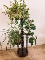 Plantenstaander, Huis en Inrichting, Ophalen