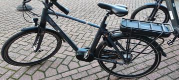 Jools heren 54 cm beschikbaar voor biedingen