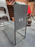 Diervriendelijke vangkooi voor marter, ratten, ..., Ophalen, Zo goed als nieuw