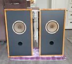 Vintage Goodmand alnico breedband set, Audio, Tv en Foto, Luidsprekerboxen, Zo goed als nieuw, Minder dan 60 watt, Front, Rear of Stereo speakers