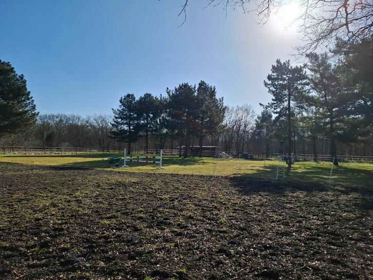 Weide te koop, Dieren en Toebehoren, Stalling en Weidegang