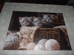 Puzzel 1000 stukjes 'Schattige kittens', Hobby en Vrije tijd, Ophalen of Verzenden, 500 t/m 1500 stukjes