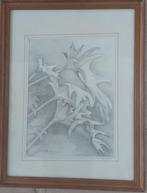 tekening Berthe Wauters de natuur, Verzenden