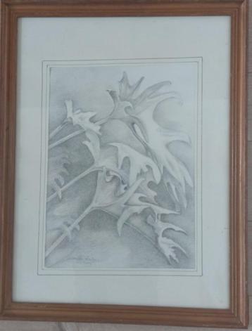 tekening Berthe Wauters de natuur beschikbaar voor biedingen
