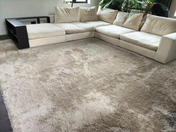 groot beige tapijt 4,30 m x 3.50 m beschikbaar voor biedingen