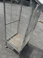Te koop, Geslacht onbekend, Papegaai, Pratend