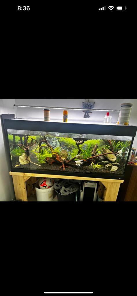 Aquarium 250l, Dieren en Toebehoren, Vissen | Aquaria en Toebehoren, Zo goed als nieuw, Ophalen