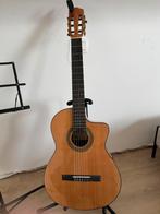 Gitaar volledige set met houder, draagtas, notenstand, tuner, Muziek en Instrumenten, Versterkers | Bas en Gitaar, Ophalen, Zo goed als nieuw