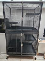 Keddoc animal home, Dieren en Toebehoren, Knaagdieren en Konijnen | Hokken en Kooien, Ophalen, Gebruikt, Kooi, Rat