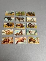 Chocolaterie Chromos MON GOUT Anvers Deurne Herentals, Avant 1940, Gravure, Utilisé, Animal