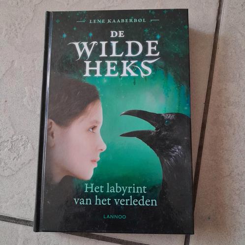 Lene Kaaberbøl - Het labyrint van het verleden, Boeken, Kinderboeken | Jeugd | onder 10 jaar, Zo goed als nieuw, Ophalen