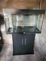 Juwel 120L, Enlèvement, Utilisé, Aquarium vide