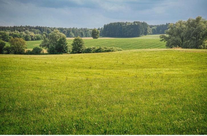 Weide + stal gezocht, Dieren en Toebehoren, Stalling en Weidegang, Opfok, Stalling, Weidegang