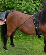 Birthalarm paarden - volledig nieuw!!, Dieren en Toebehoren, Nieuw, Ophalen of Verzenden