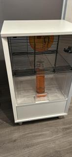 Cage hamster omlet, Ophalen, Kooi, Gebruikt, 60 tot 90 cm