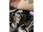 Harley-Davidson SOFTAIL FAT BOY (bj 2015), Motoren, Motoren | Harley-Davidson, 2 cilinders, 1687 cc, Bedrijf, Overig