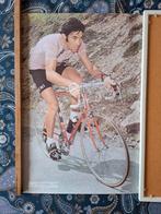 Originele posterposter Eddy Merckx 64x47cm, Sport en Fitness, Wielrennen, Ophalen of Verzenden, Zo goed als nieuw