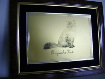 kader met koperen plaat met afbeelding perzische kat