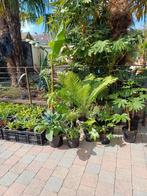 Allerlei planten, Ophalen