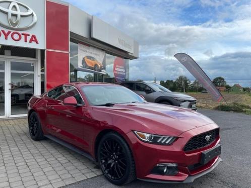 Ford Mustang Ecoboost Ford Mustang Ecoboost, Autos, Ford, Entreprise, Mustang, Alarme, Ordinateur de bord, Cruise Control, Sièges électriques