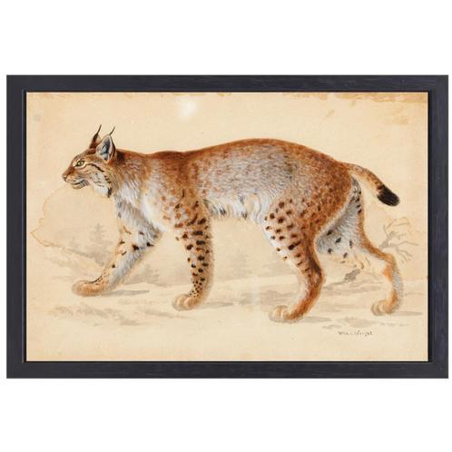 Lynx - Wilhelm von Wright canvas + baklijst 70x50cm, Huis en Inrichting, Woonaccessoires | Schilderijen, Tekeningen en Foto's