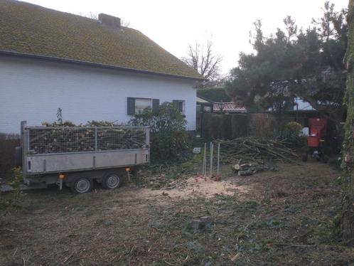 Halfdroog Brandhout Den op 40 cm, Jardin & Terrasse, Bois de chauffage, Bûches, Autres essences de bois, 3 à 6 m³, Enlèvement ou Envoi