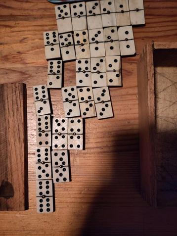 Domino ébène et corne beschikbaar voor biedingen