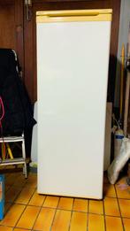 Réfrigérateur, 140 à 160 cm, Enlèvement, 45 à 60 cm, Utilisé