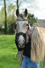 Bomproof paint merrie en veulen, Dieren en Toebehoren, Paarden, Zadelmak, 160 tot 165 cm, 11 jaar of ouder, Recreatiepaard