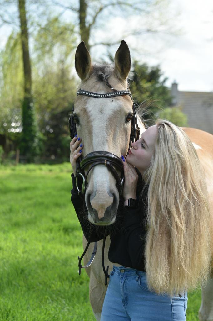 Bomproof paint merrie en veulen, Dieren en Toebehoren, Paarden, Merrie, Zadelmak, 160 tot 165 cm, 11 jaar of ouder, Recreatiepaard