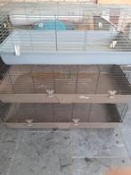 Konijnen/cavia hok, Dieren en Toebehoren, Ophalen, Gebruikt, 110 cm of meer, Cavia