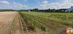 Grond te koop in Lede, Immo, Gronden en Bouwgronden, 1500 m² of meer